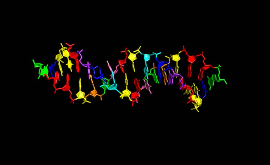 Hachimoji - syntetyczne DNA złożone z 8 liter
