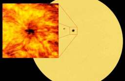 Plama słoneczna. Zdjęcie wykonane przy pomocy obserwatorium ALMA