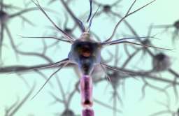 Czy dieta może mieć wpływ na regenerację naszych nerwów?