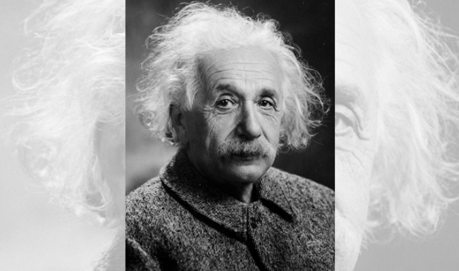 Zaginiony list Einsteina. Geniusz przewidział odkrycie zwierzęcych superzmysłów