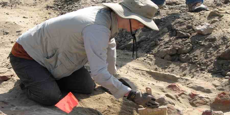 Archeolog podczas prac wykopaliskowych