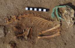 Egipt: najstarszy na świecie cmentarz zwierząt domowych odkryty przez Polaków