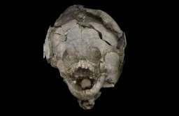 Niemowlęta sprzed 2100 lat pochowane w „hełmach” z czaszek starszych dzieci