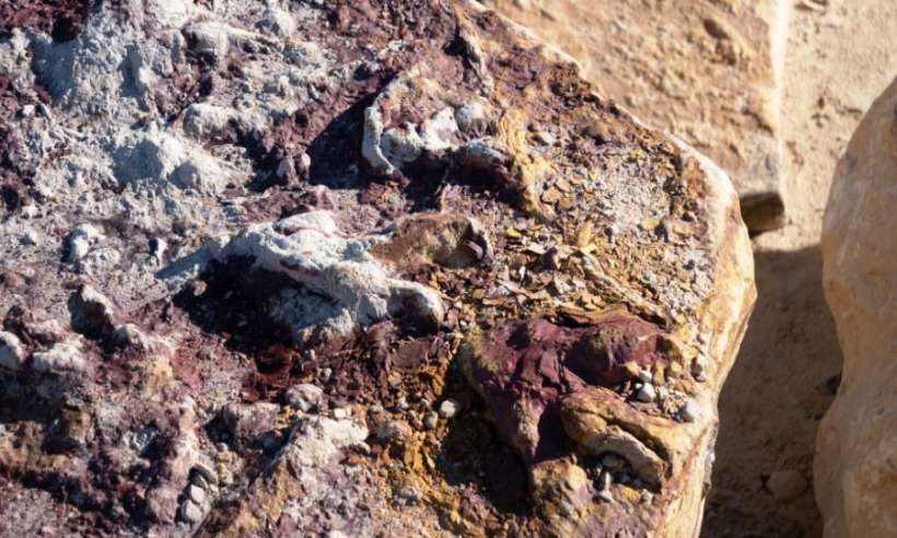 W kopalni na Mazowszu odkryto setki śladów dinozaurów
