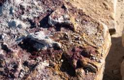 W kopalni na Mazowszu odkryto setki śladów dinozaurów
