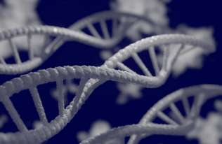 Badania pokazują, że tylko niewielka część naszego DNA jest unikalna dla współczesnych ludzi