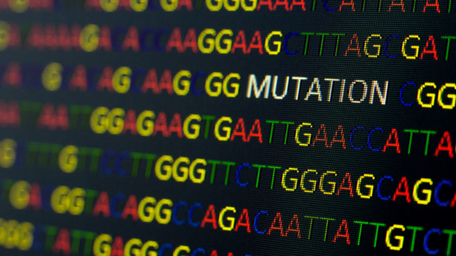 Naukowcy w pełni odczytali genom człowieka