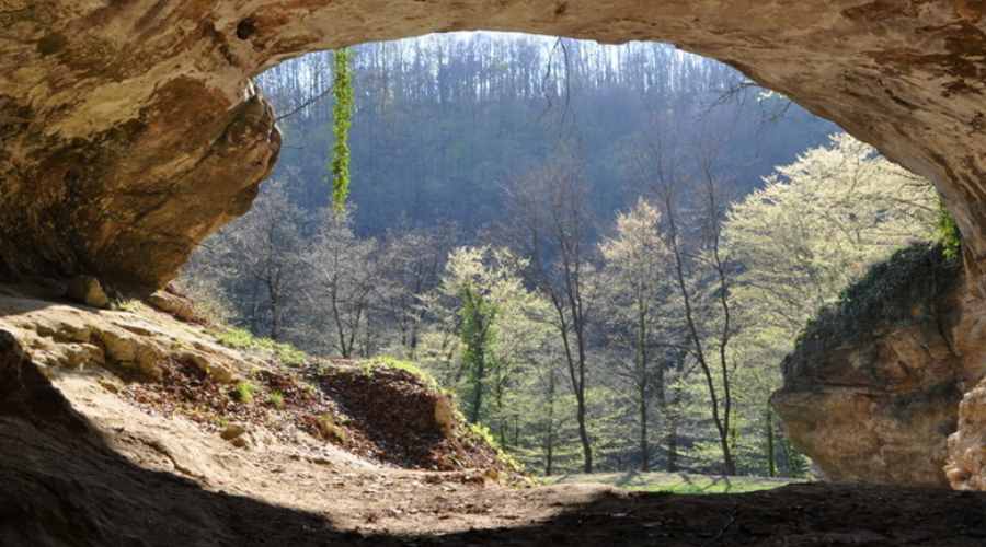 Wejście do jaskini Vindija w Chorwacji, gdzie naukowcy byli w stanie wyodrębnić DNA z osadów