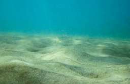 Naukowcy odkryli mikroby żyjące głęboko pod dnem morskim w temperaturze 120 st. C
