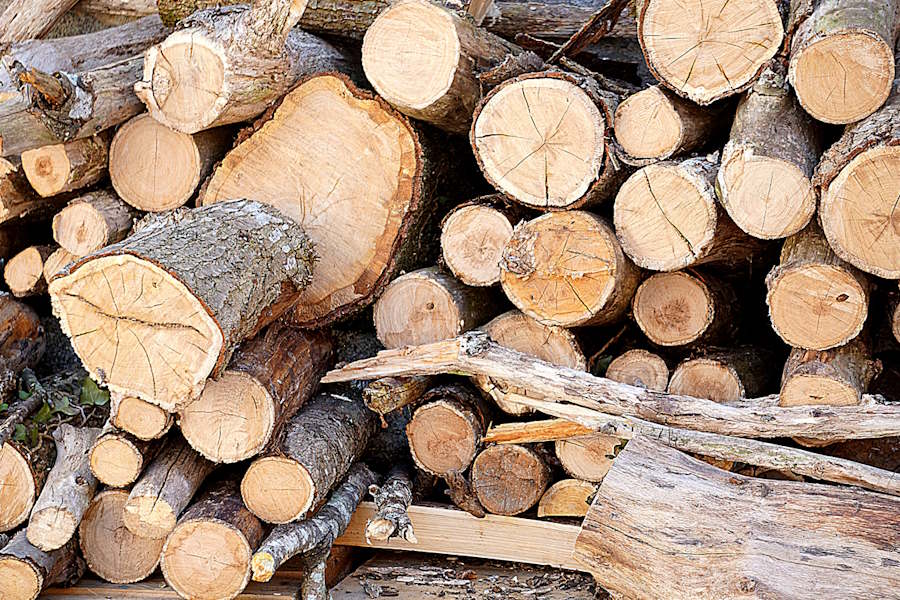 Różne gatunki drewna stosowane w budowie domków drewnianych