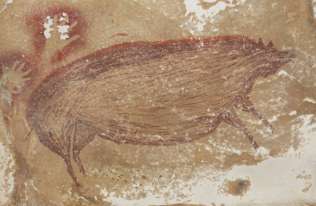 W Indonezji odkryto rysunek sprzed 45,5 tys. lat przedstawiający świnę
