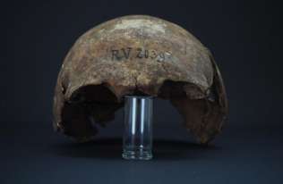 Najstarszy szczep dżumy znaleziony w szczątkach mężczyzny sprzed 5000 lat