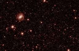 Teleskop Euclid do badań ciemnej materii i energii przesłał pierwsze zdjęcia