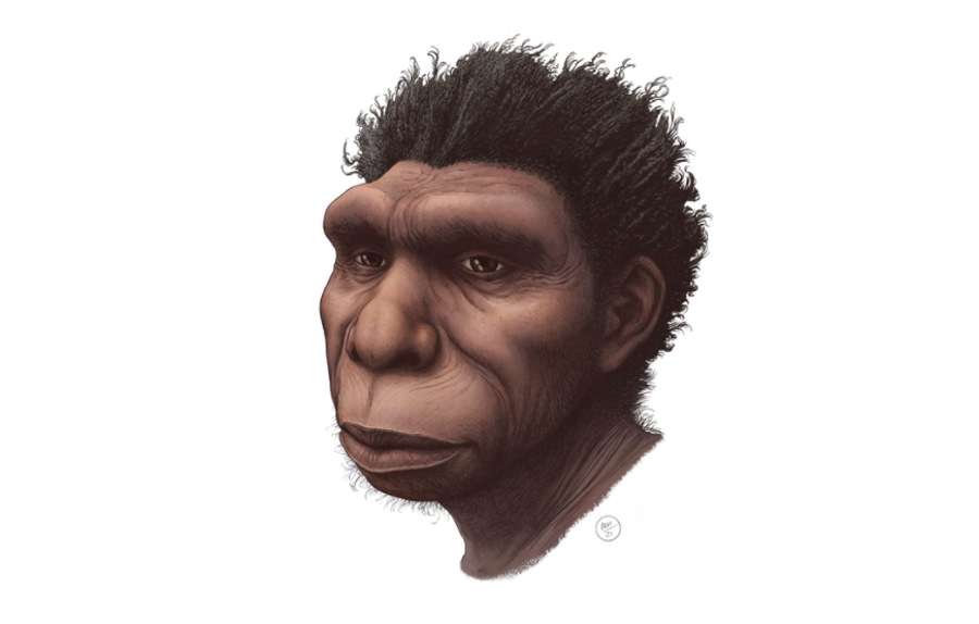 Homo bodoensis - bezpośredni przodek współczesnego człowieka