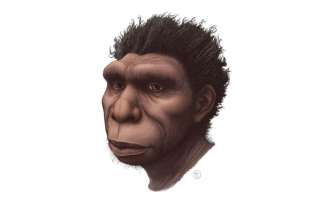 Homo bodoensis - bezpośredni przodek współczesnego człowieka
