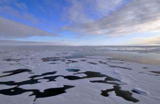 Ocean Arktyczny z kawałkami kry