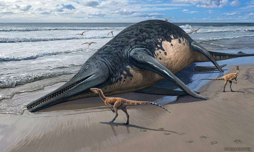 Paleontolodzy odkryli szczątki największego znanego gada morskiego