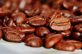 Fińscy naukowcy produkują kawę w laboratorium