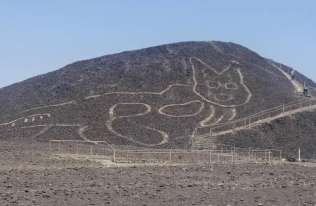 Na płaskowyżu Nazca odkryto olbrzymi wizerunek kota