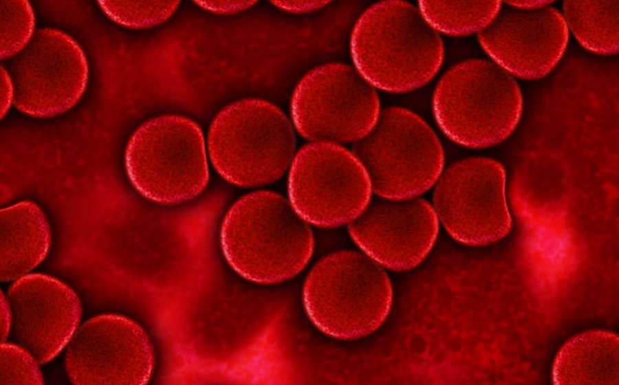 Naukowcy zidentyfikowali nową grupę krwi