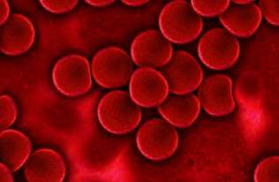 Mikroplastik znaleziony w ludzkiej krwi