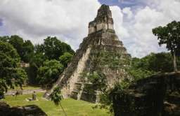 Piramida schodkowa Majów w Tikal