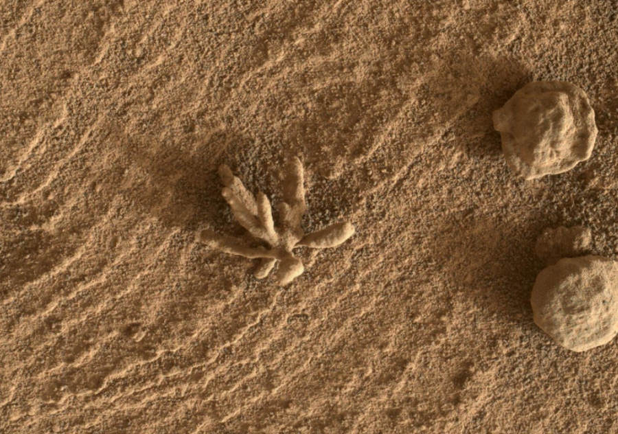 Łazik Curiosity znalazł na Marsie nietypową skałę