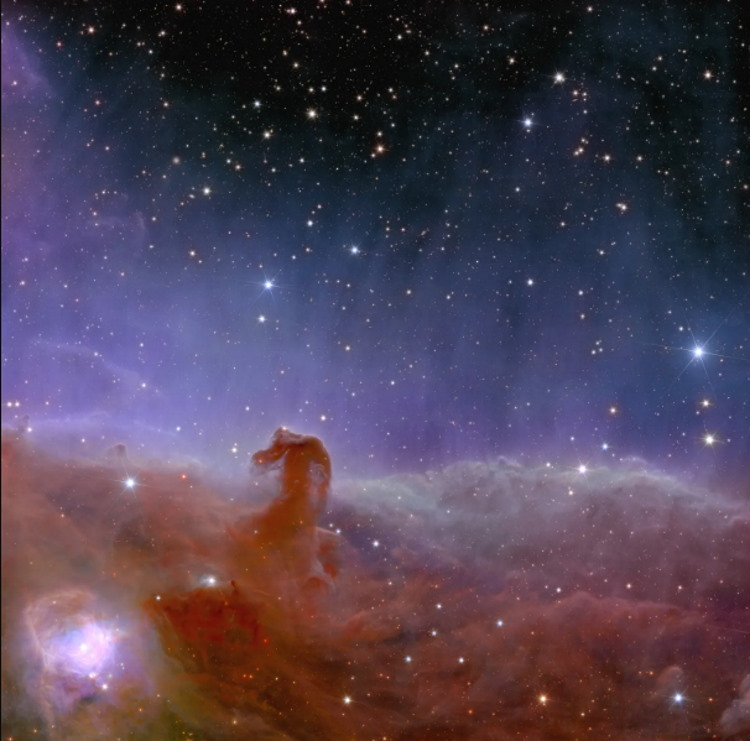 Nowe zdjęcia z teleskopu Euclid - Mgławica Koński Łeb
