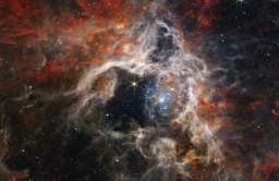 Mgławica Tarantula w obiektywie teleskopu Webba