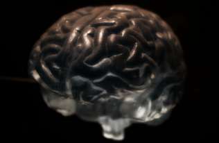 Dlaczego mózg zużywa tak dużo energii? Naukowcy znają odpowiedź