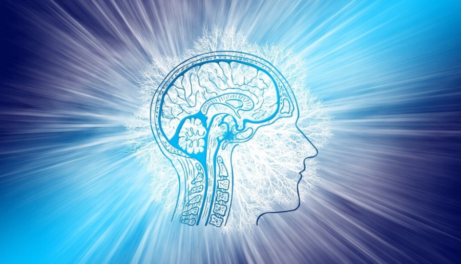 Seniorzy z dobrą pamięcią mają znacznie większe neurony. Nie cierpią też na Alzheimera