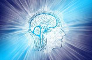 Seniorzy z dobrą pamięcią mają znacznie większe neurony. Nie cierpią też na Alzheimera