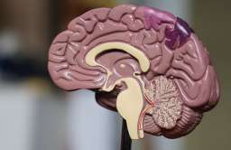 W rzadkich przypadkach choroba Alzheimera może zostać przeniesiona między ludźmi