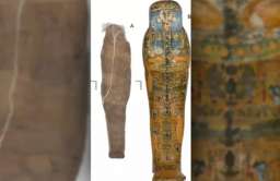Starożytna egipska mumia otoczona skorupą z błota