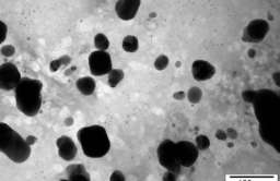 Nanocząstki srebra, używanego do odkażania, mogą dostawać się do organizmu człowieka