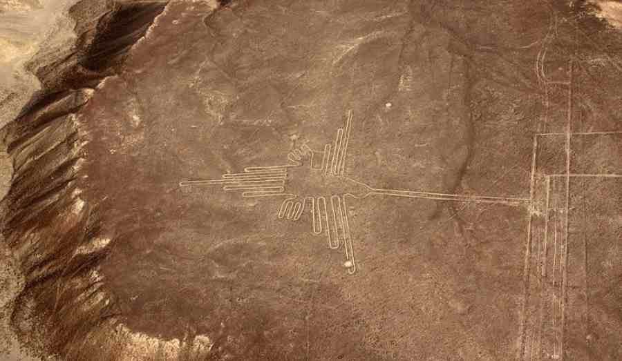 Rysunki z Nazca