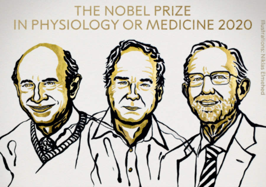 Przyznano Nagrodę Nobla 2020 z medycyny i fizjologii