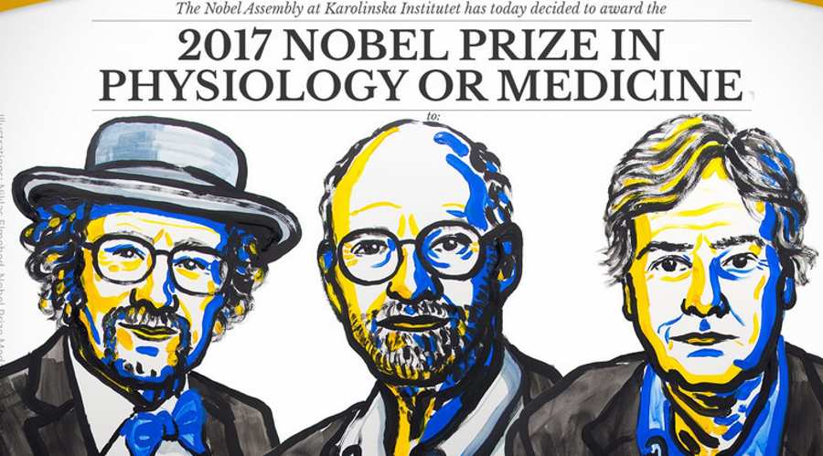 Przyznano Nagrodę Nobla 2017 z medycyny i fizjologii