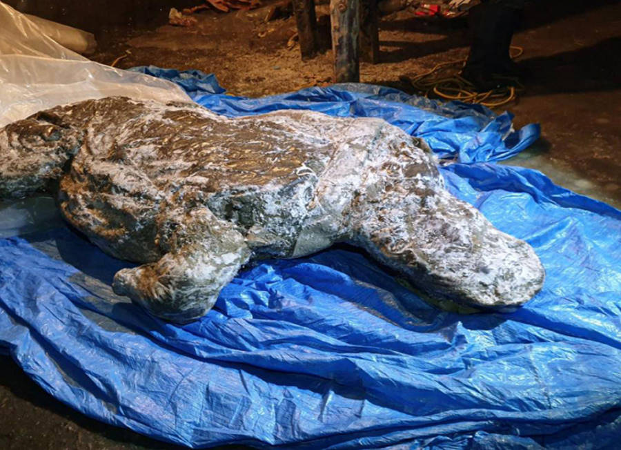 Dobrze zachowany nosorożec włochaty z epoki lodowej znaleziony na Syberii