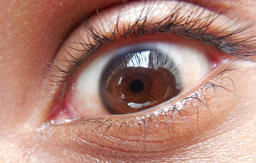 Oczy zmarłych zareagowały na światło. Naukowcy przywrócili do życia komórki światłoczułe