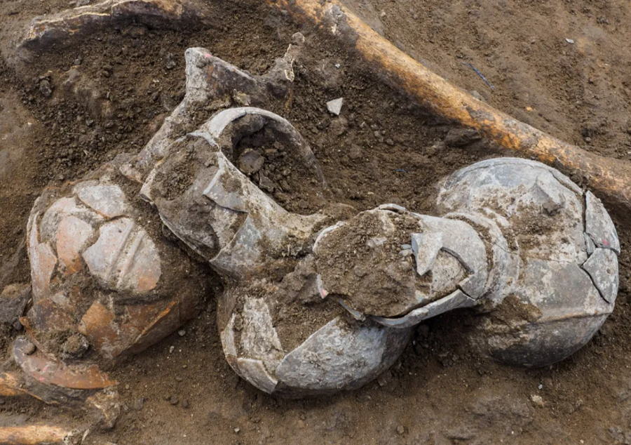 Archeolodzy znaleźli ślady opium na naczyniach sprzed 3500 lat