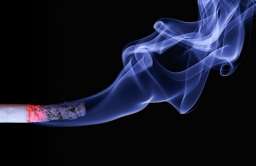 Badania wskazują, że palenie papierosów powoduje kurczenie się mózgu