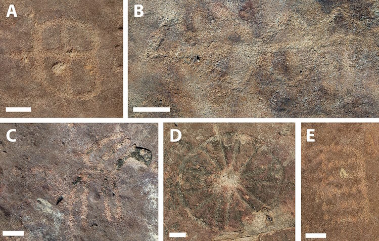 Petroglify obok śladów dinozaurów