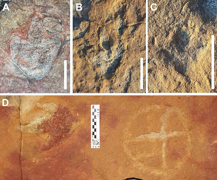 Petroglify obok śladów dinozaurów