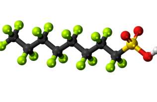 „Wieczne chemikalia” są w stanie zaburzyć kluczowe procesy biologiczne