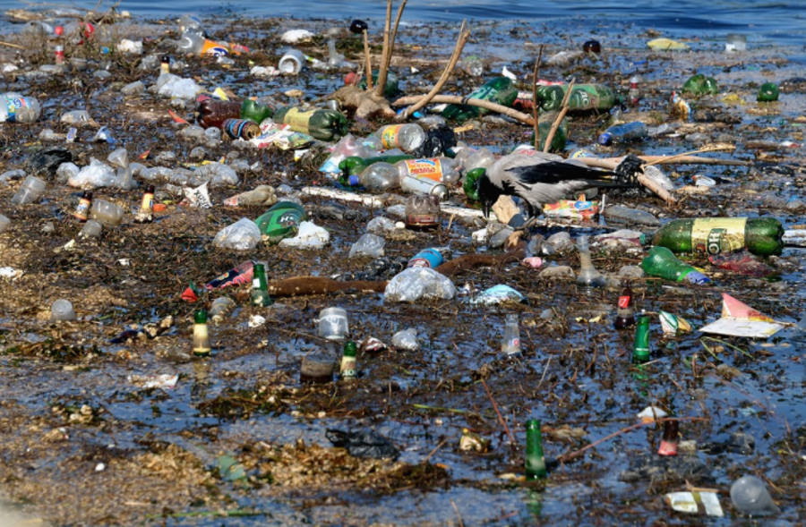 Niespodziewany efekt zanieczyszczenia mórz plastikiem