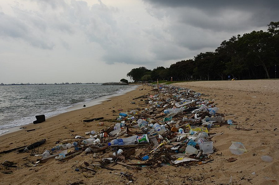 Badania wskazują, że ilość plastikowych śmieci w oceanach jest zawyżona