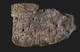 Kamienna płyta sprzed 4 tys. lat to prawdopodobnie najstarsza mapa w Europie