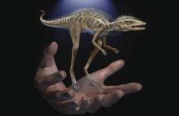 Przodek dinozaurów żywił się owadami i był niewiele większy od chomika