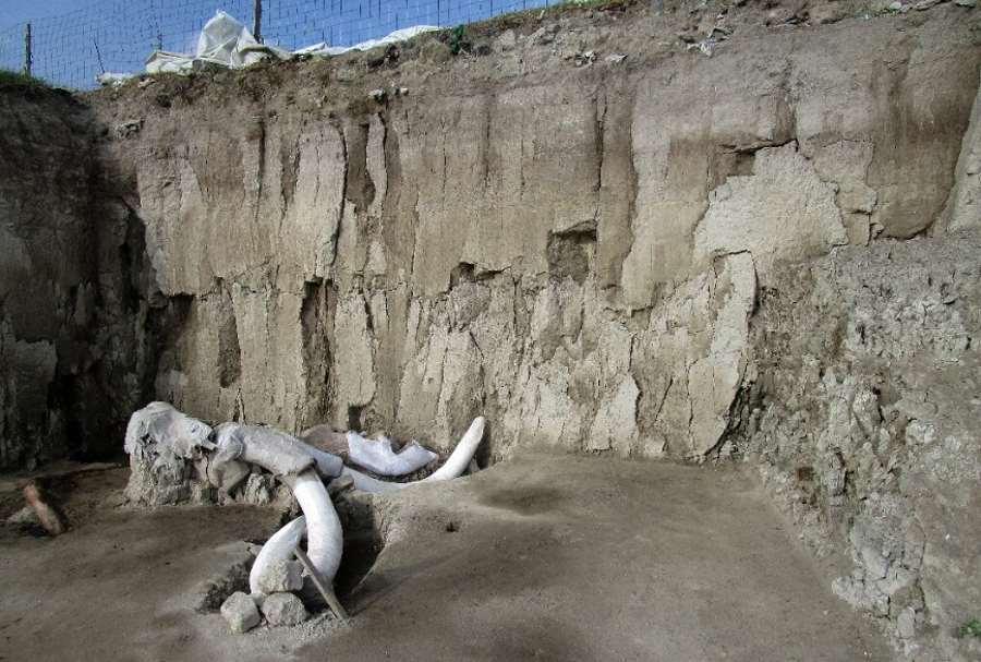 Archeolodzy odkryli gigantyczne pułapki sprzed 15 tys. lat pełne kości mamutów